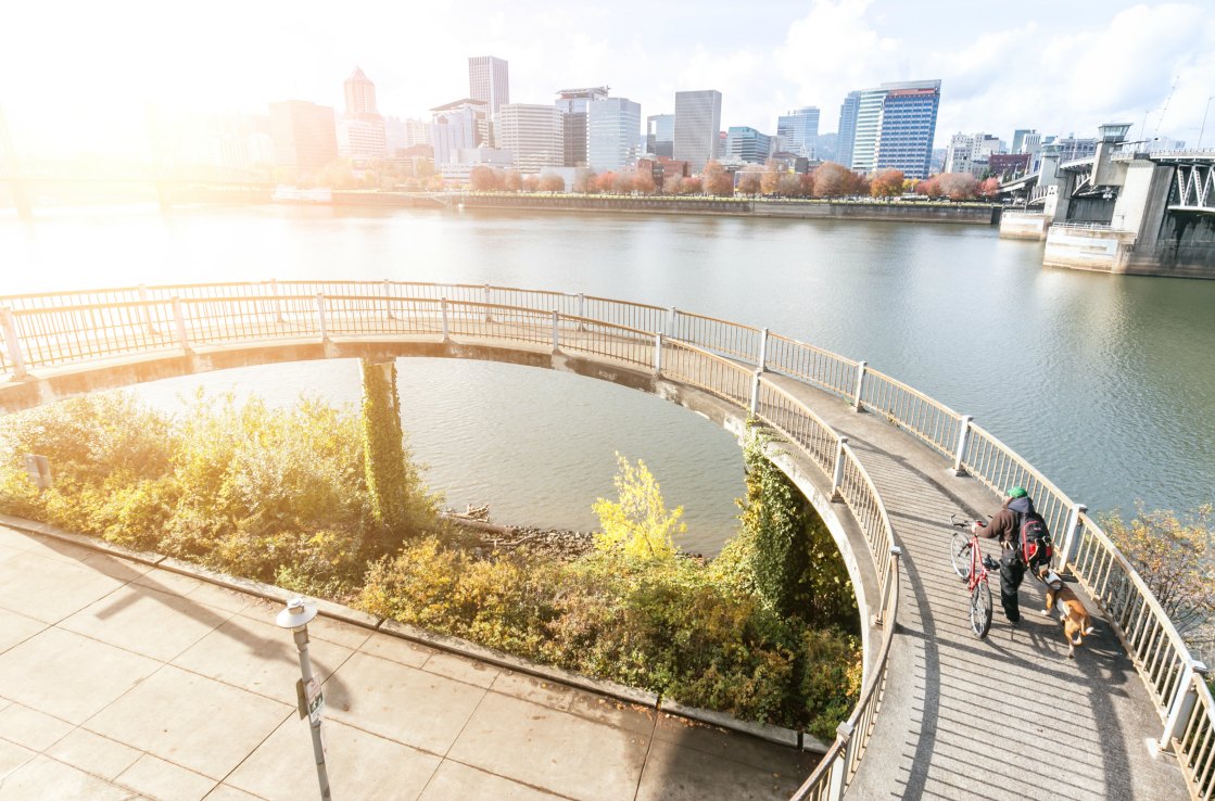 Portland bikes